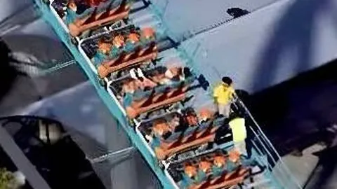 社保基金实证最新百家乐APP下载网页版：价值投资助力穿越经济周期终极指南